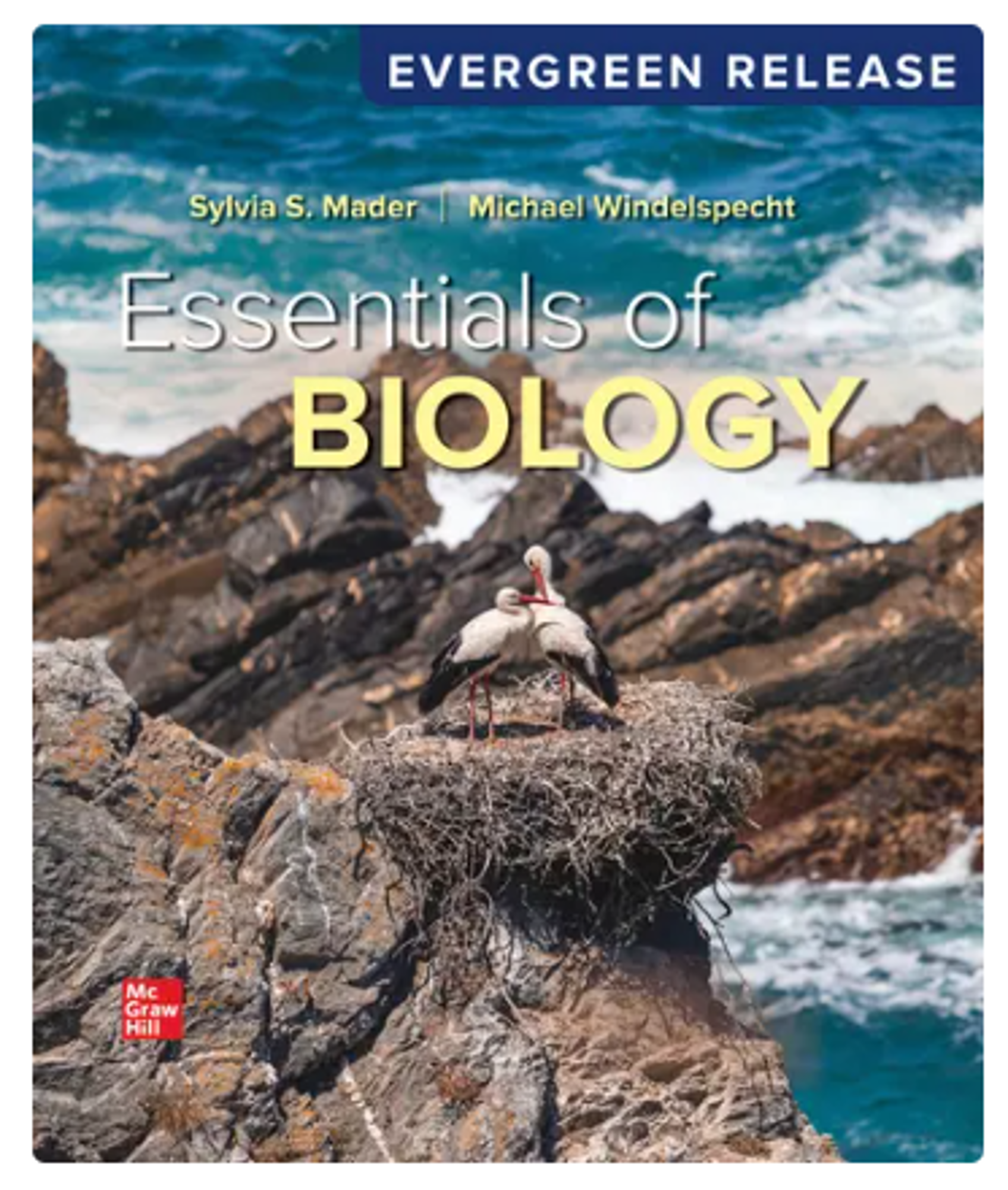 Cover image for Print Upgrade - Essentials of Biology (EV)
