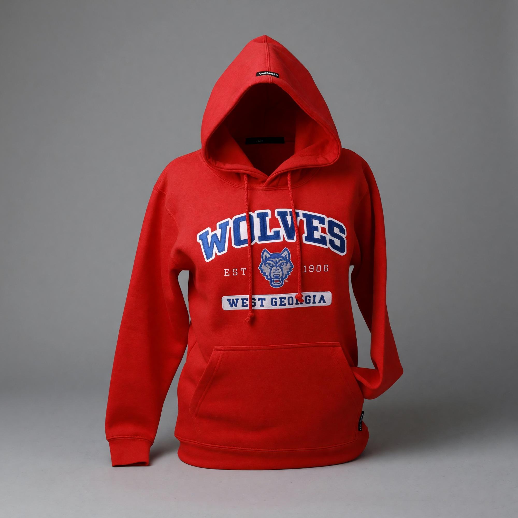Variant 8 of 12 for EMBROIDERED HOODED SWEATSHIRT (HUEY)