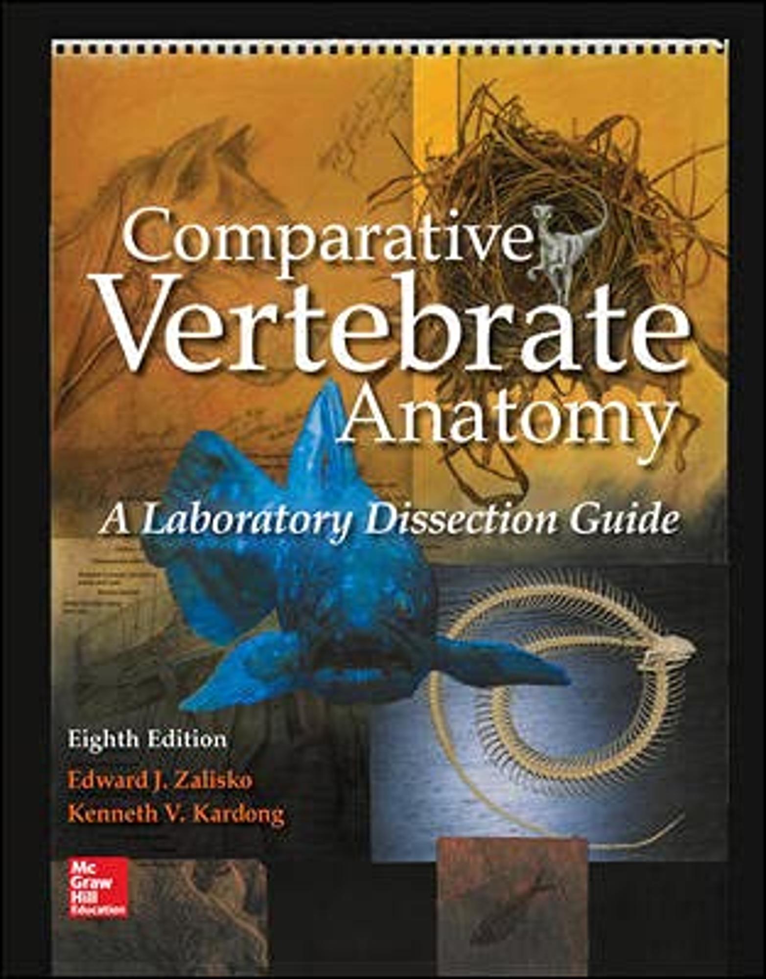 Cover image for COMPARATIVE VERTEBRATE ANAT.:LAB..GDE.