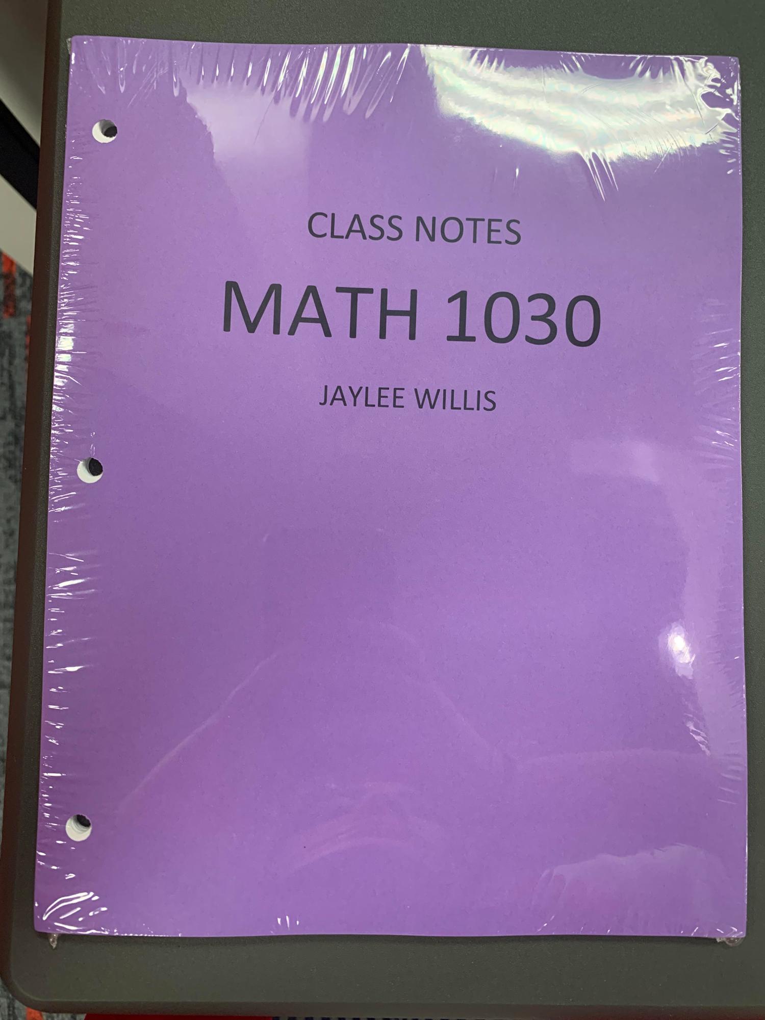 Cover image for CLASS NOTES MATH 1030