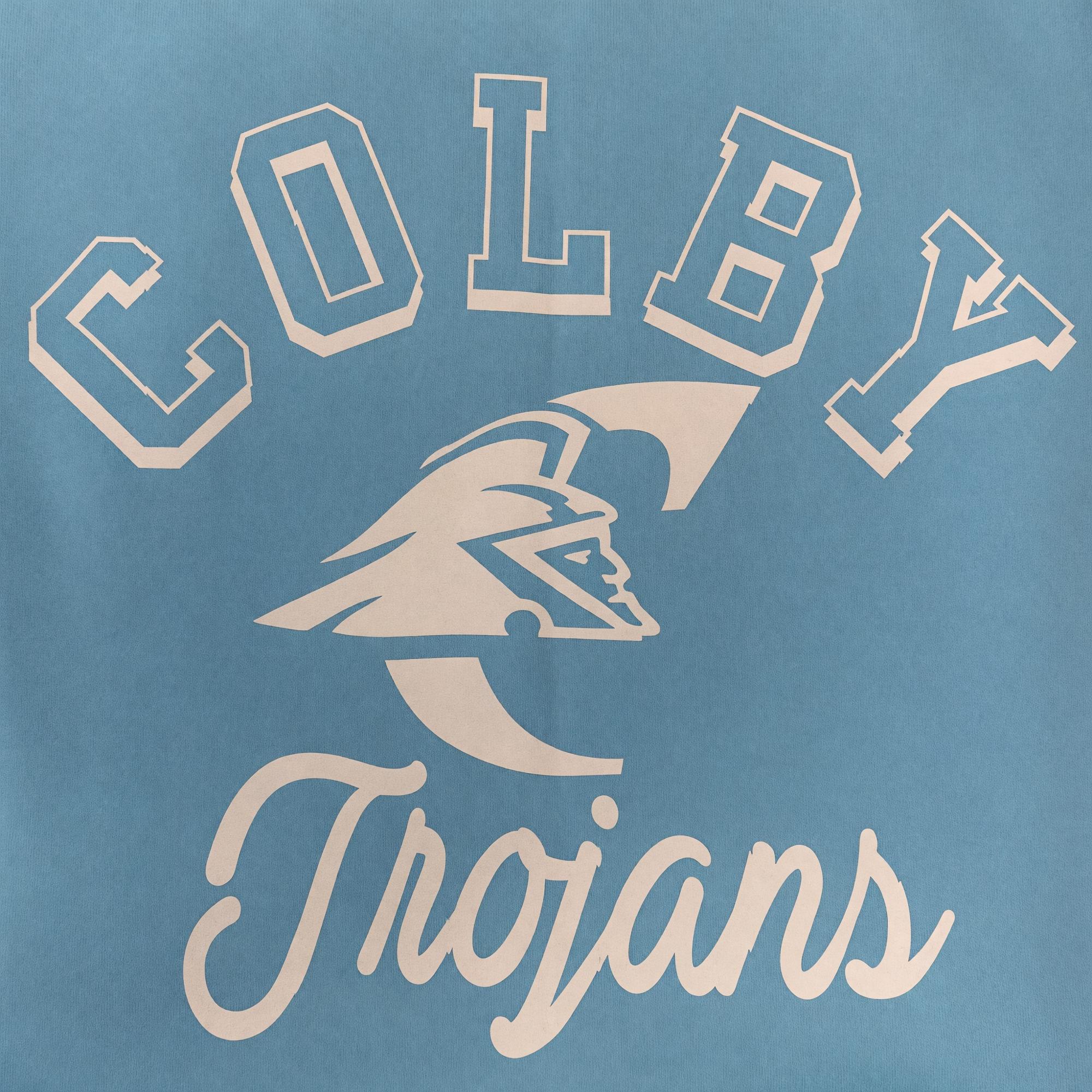 Variant 11 of 17 for Sweatshirt Blanket