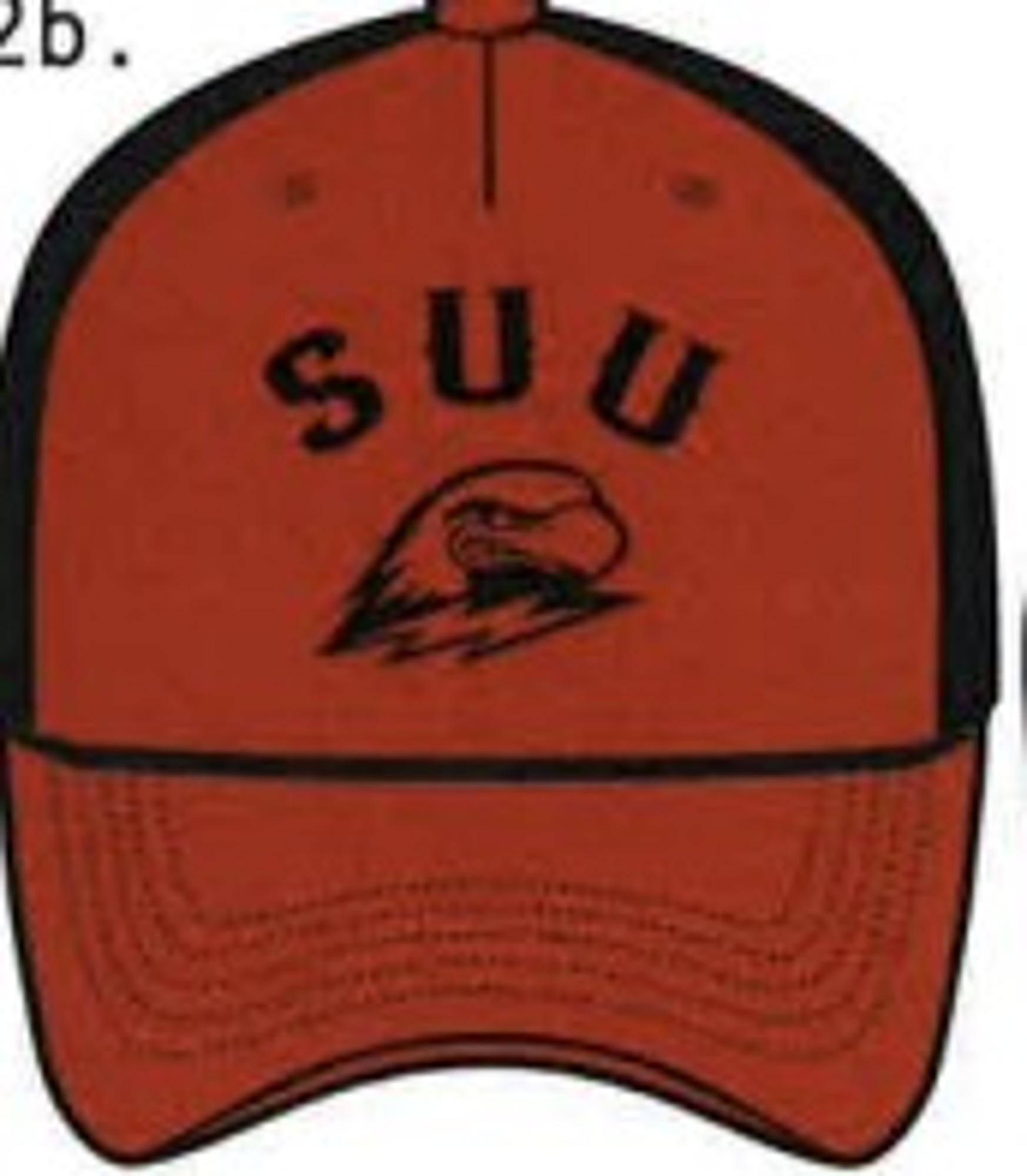 Enlarged product image