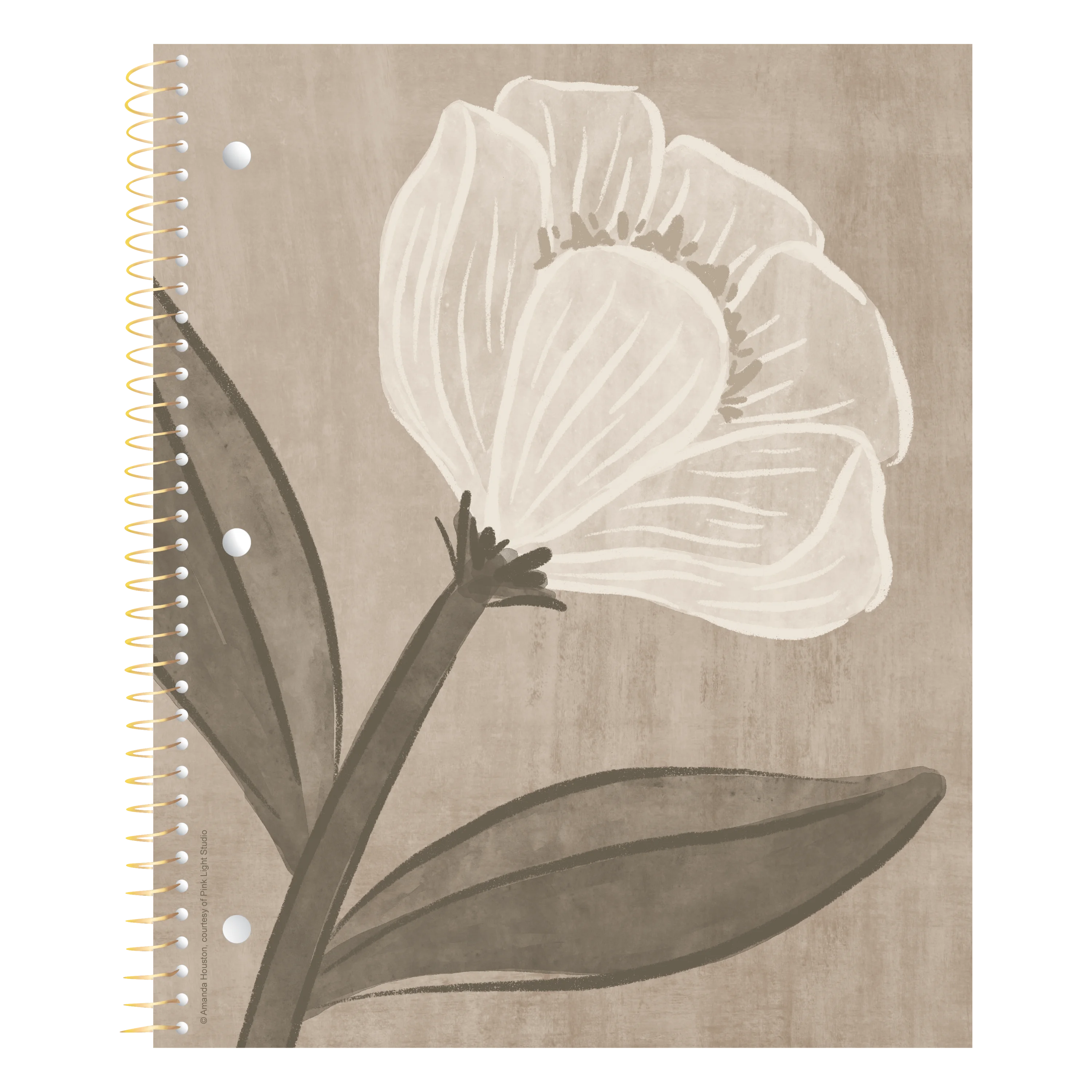 Product image 3 of 7 for SPIRAL Studio Series Set 7