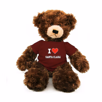 image of: Santa Clara University Brandon Love Bear