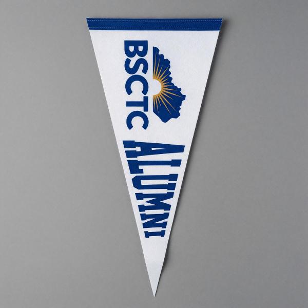 KBS 12X30 PENNANT ALUMNI; $11.99
