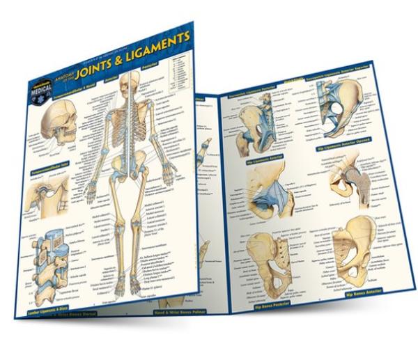 BARCHARTS / JOINTS & LIGAMENTS; $9.95