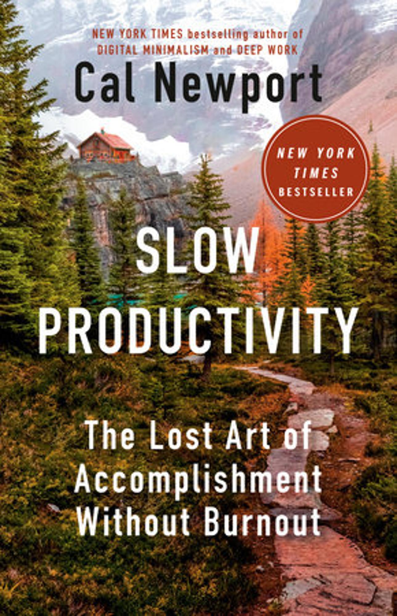 Cover image for SLOW PRODUCTIVITY