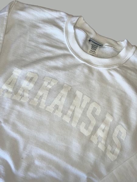 White on White Arkansas Fundamental Crewneck; $39.99