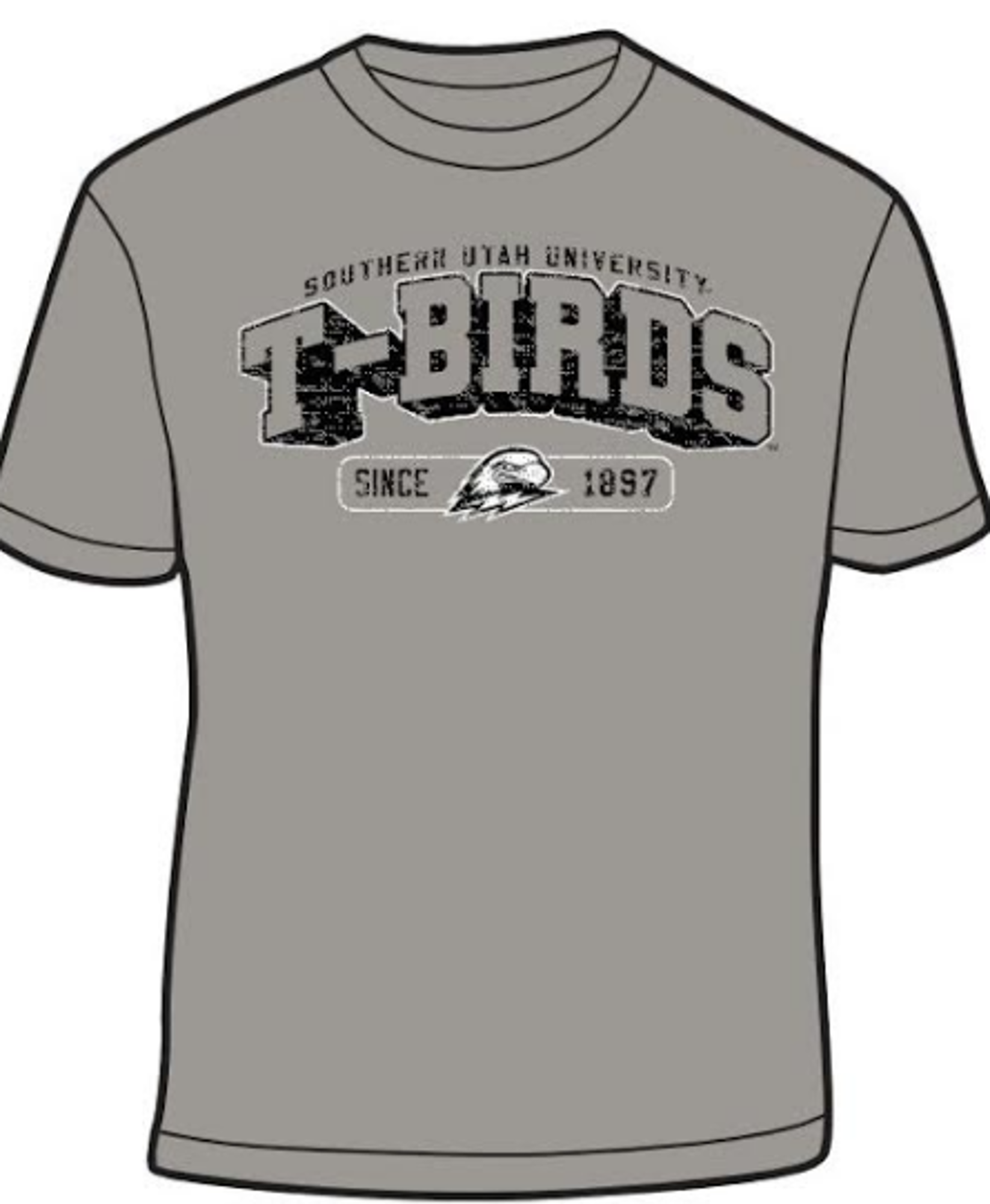 Product image 1 of 1 for CI SPORT S/S TEE GRAY T-BIRDS 1897 PLOW