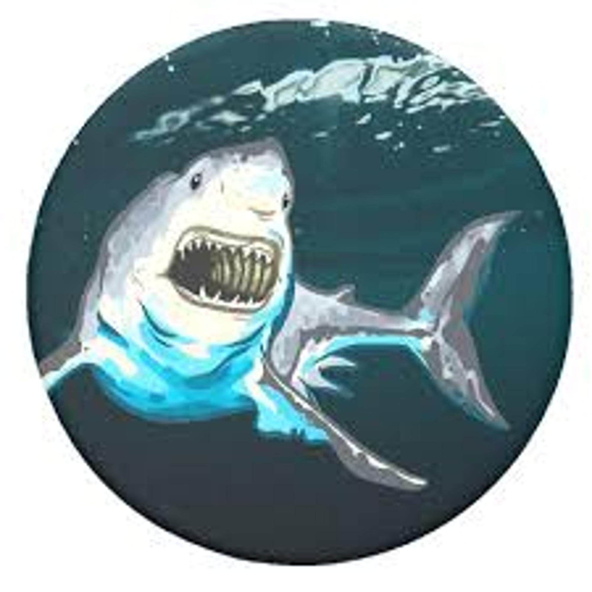 image of: PopSocket Great White Just the Top
