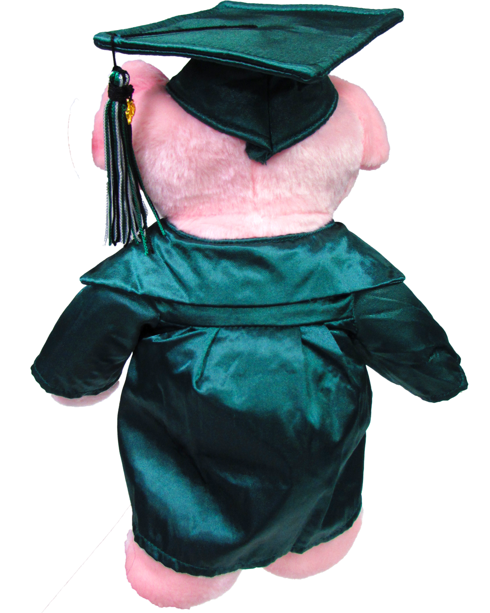 Product image 4 of 4 for Graduation Pig Green Cap & Gown 11"