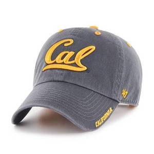 Product image 1 of 2 for Clean Up Ice Hat Cal Logo