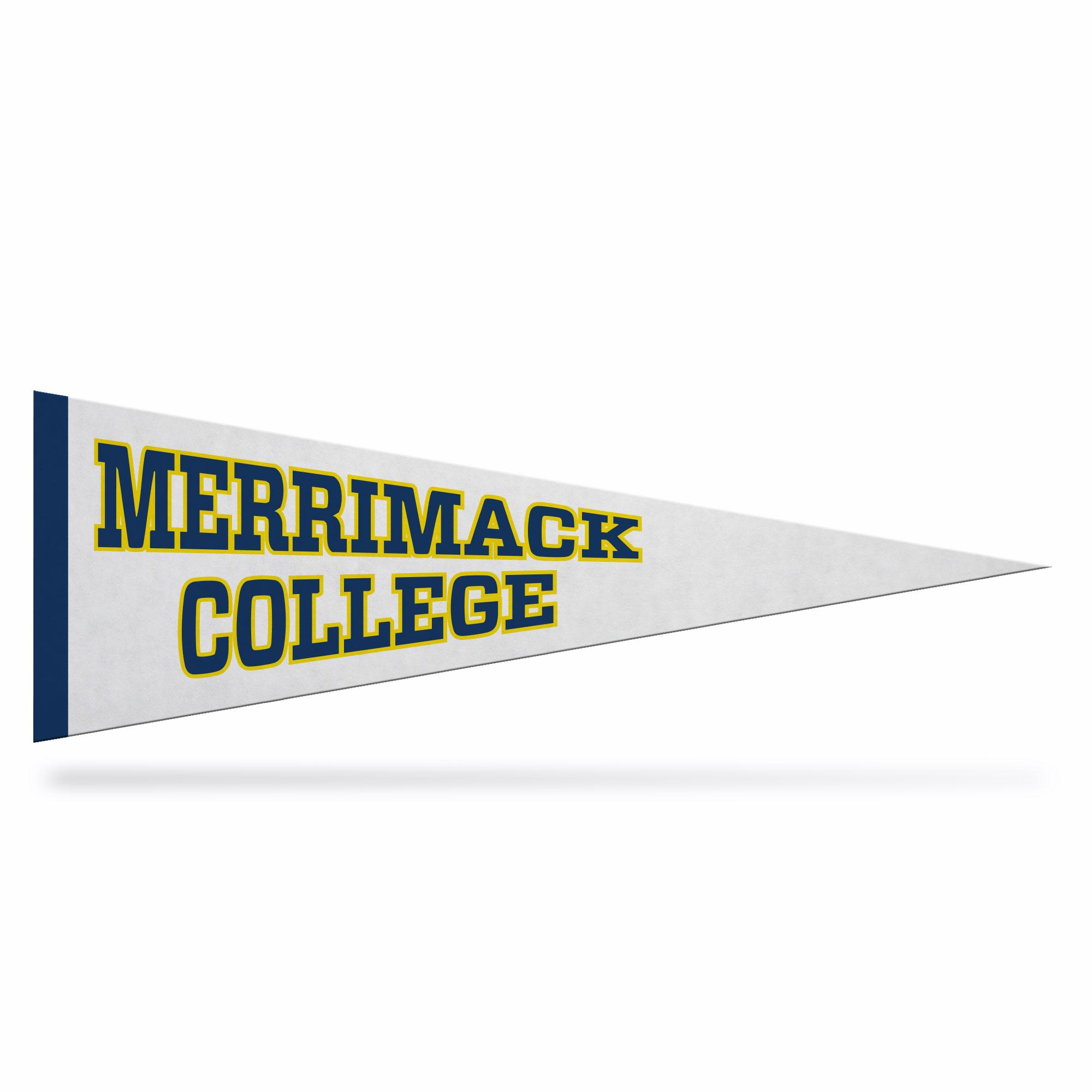 Product image 2 of 4 for 5"x15" Pennant