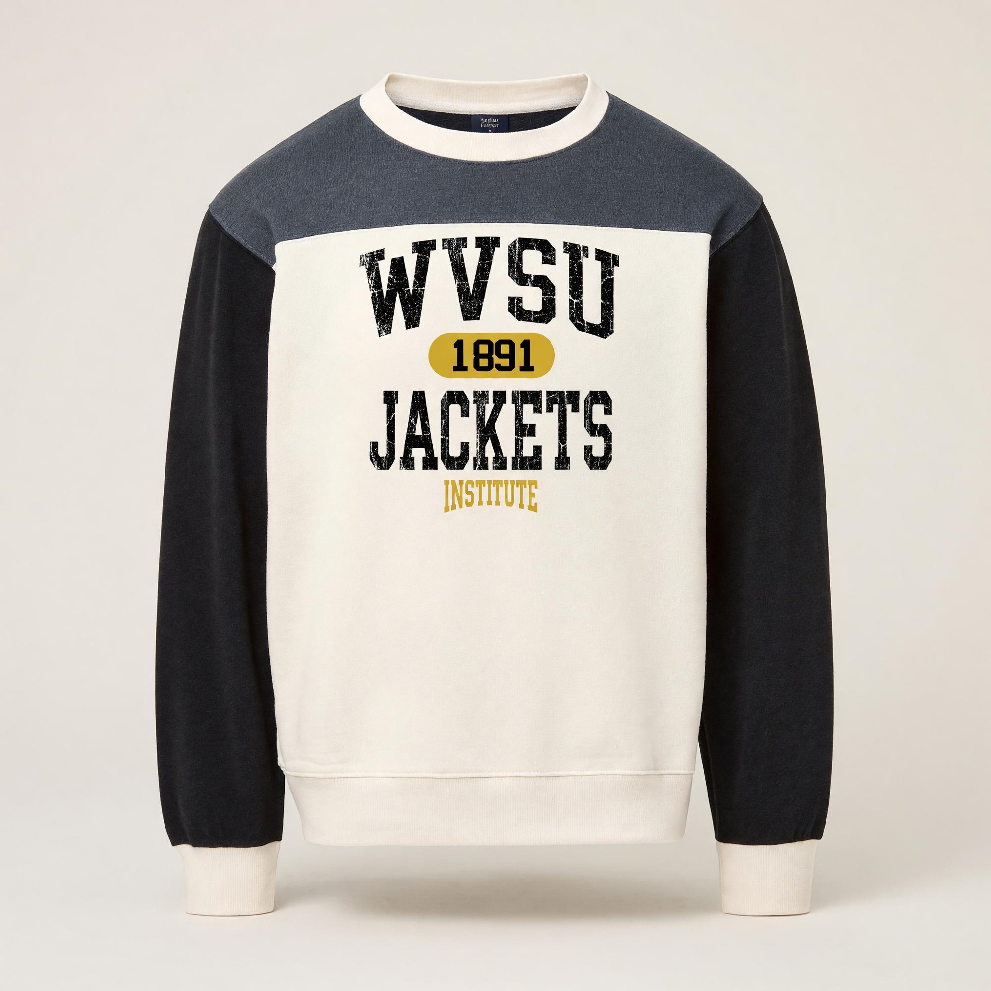 Product image 1 of 1 for Sweatshirt - MV Sport Colorblock
