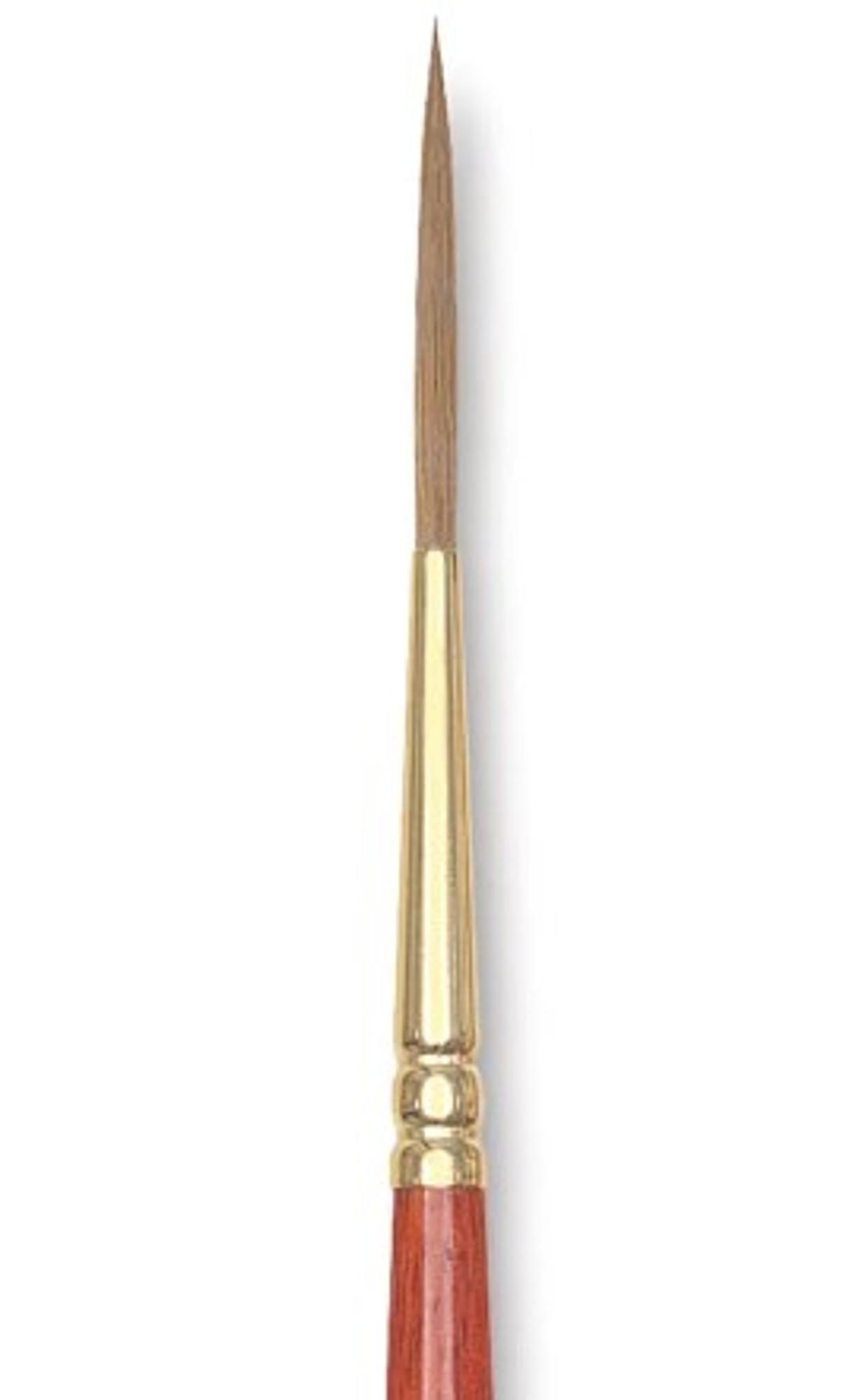 W/N Sceptre Gold Sable & Synthetic Blend - Rigger #2
