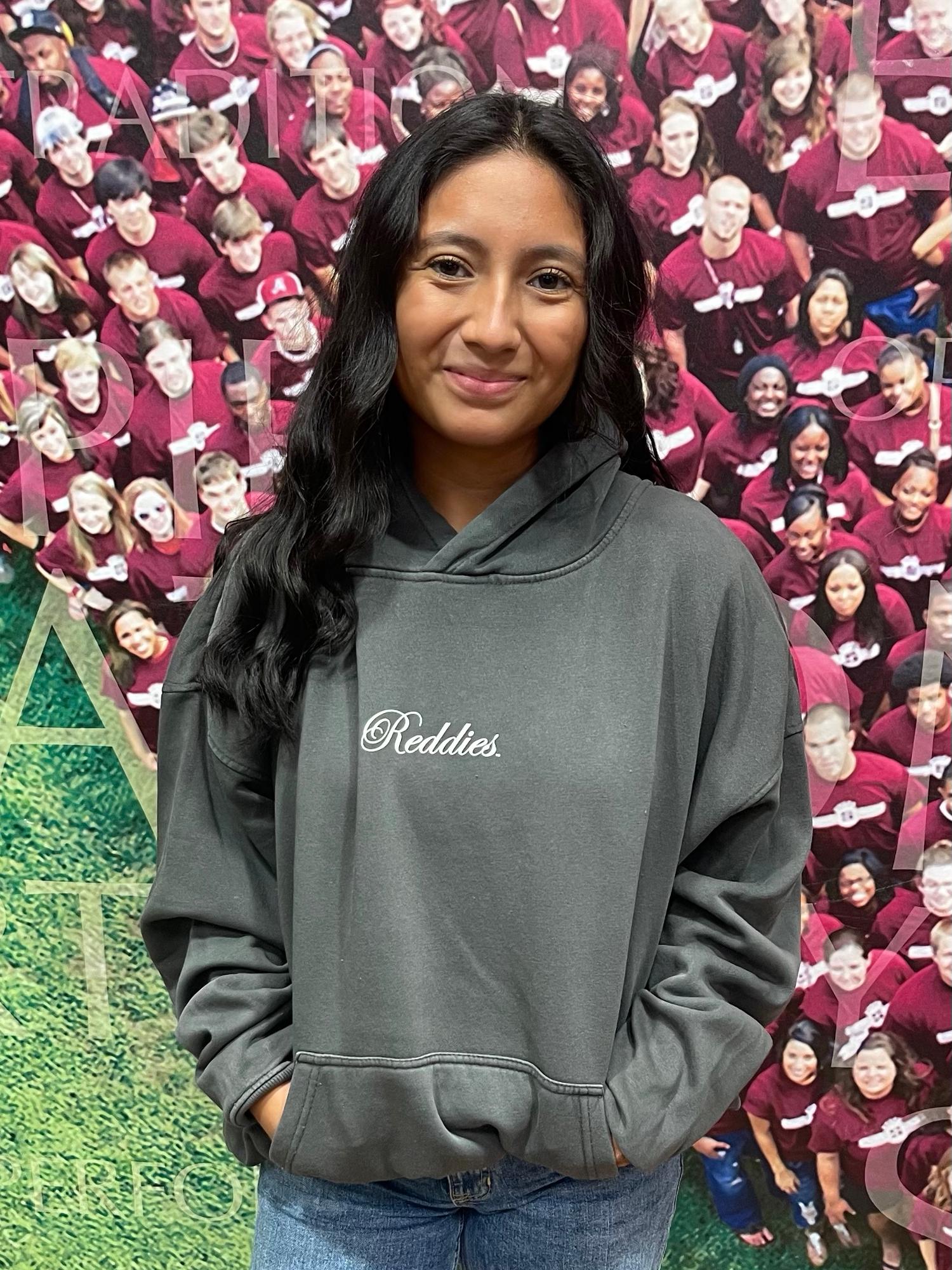 Product image 3 of 4 for Henderson Reddies Newport Hoodie